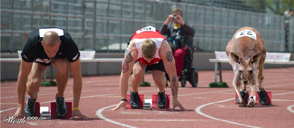 'roo starting blocks