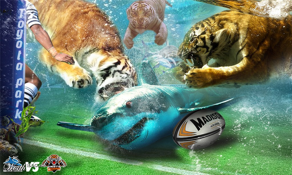 Rugby League (Sharks vs Tigers)