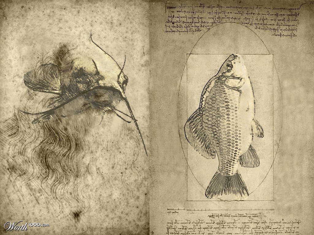 code da fishy