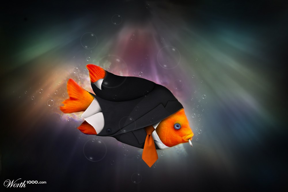 fish