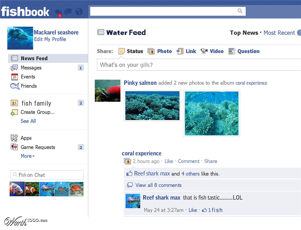fishbook