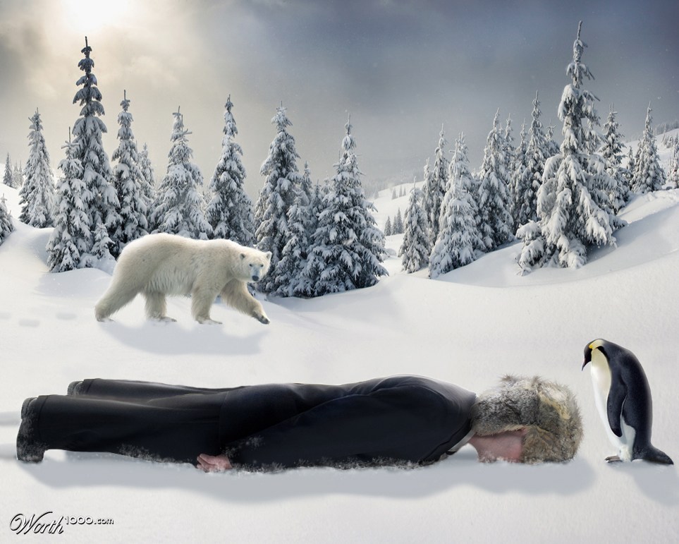 Planking Todd