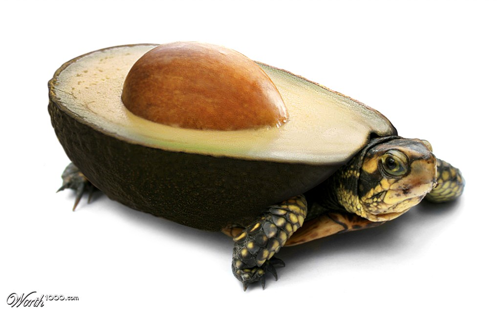 Avocadle