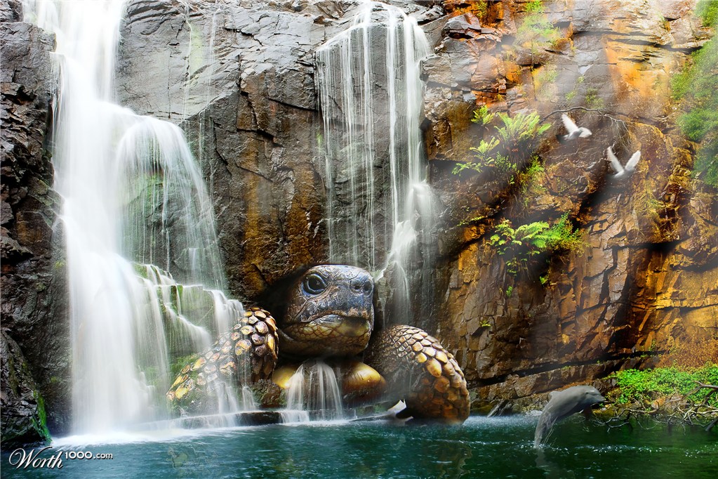 Nature