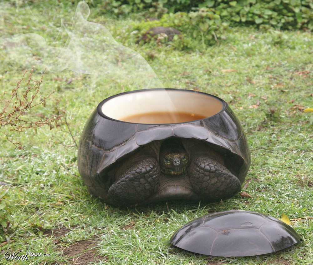 Turtle cup