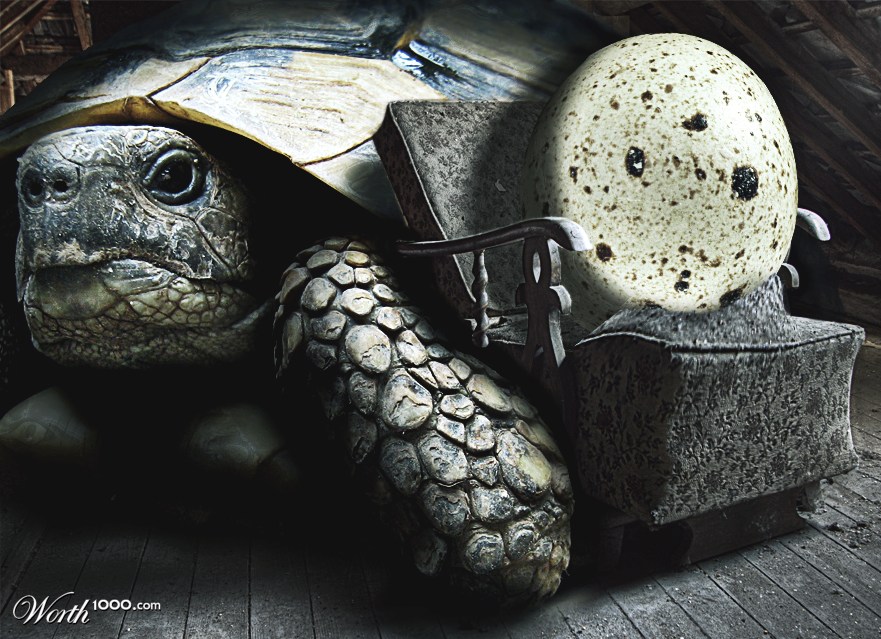 Giant turtle