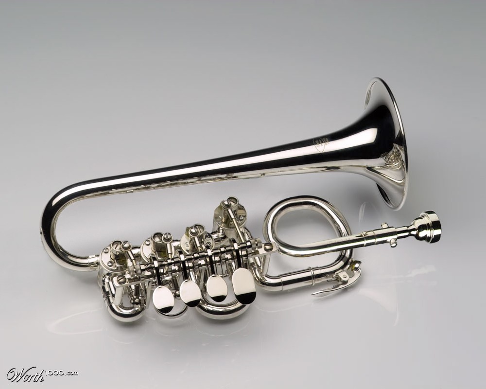 Spittle Horn