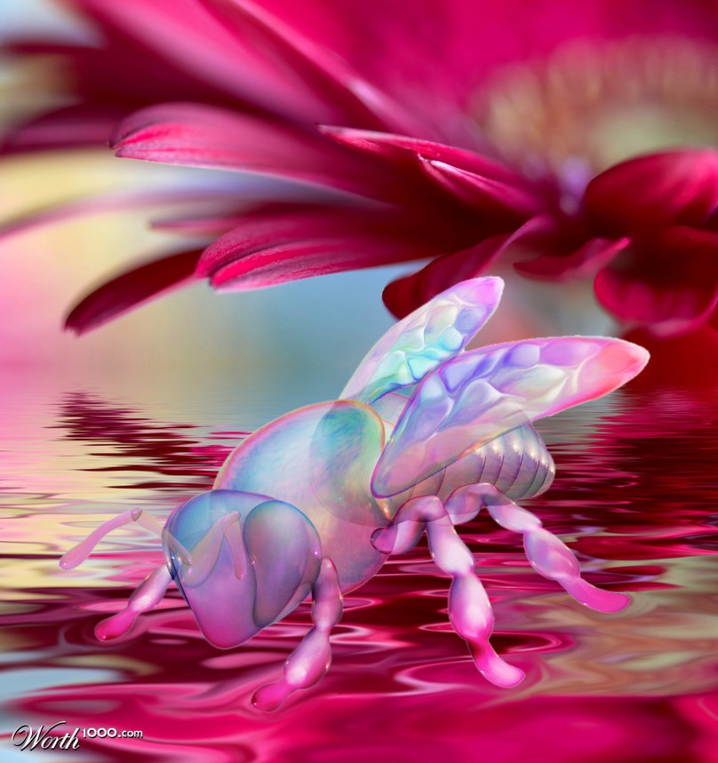 Bubble Bee