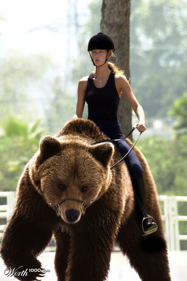 Bearback Riding