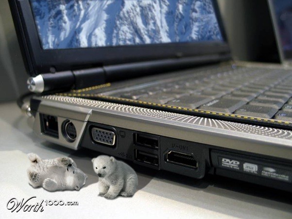Tiny Polar Bear Cubs by Computer