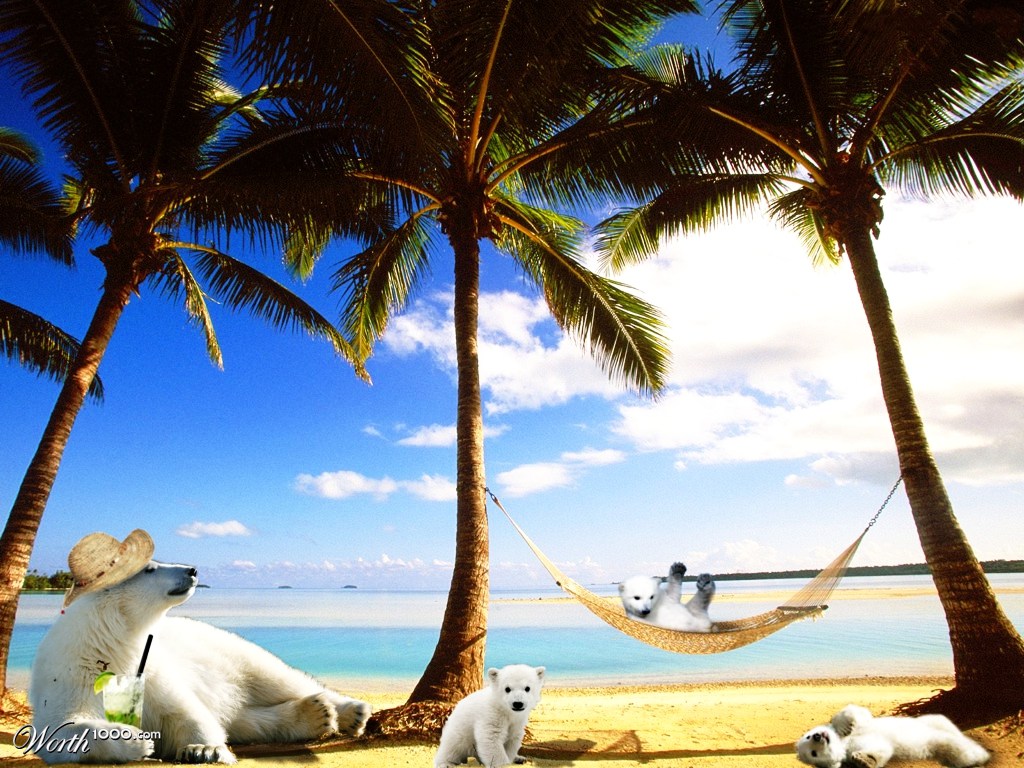 Bearbeach
