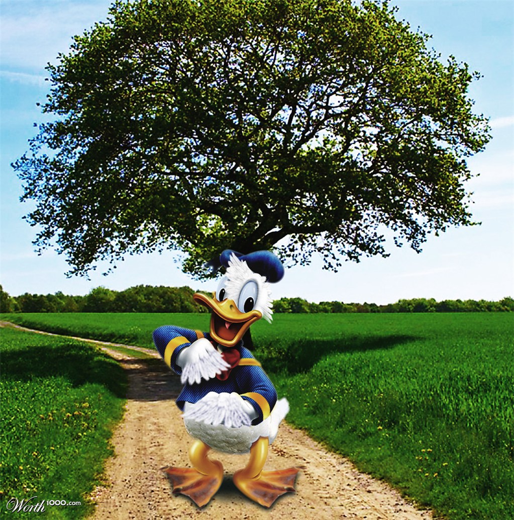 Donald Duck