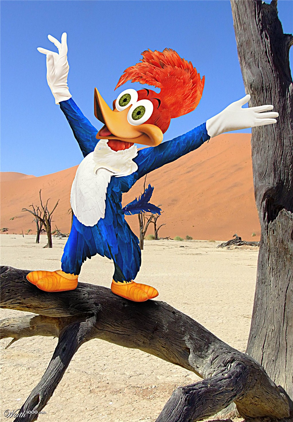 Woody Woodpecker