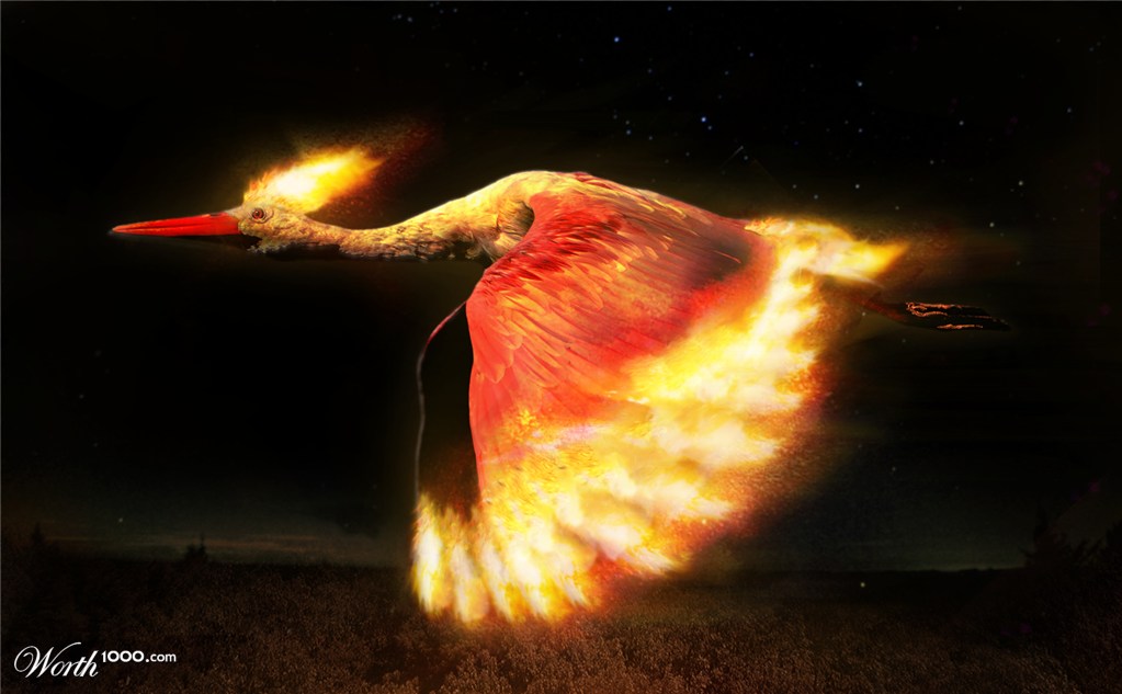 Moltres (Pokemon)