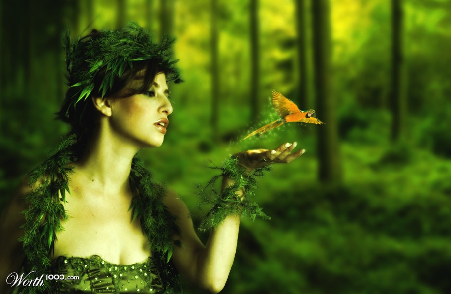 Magic of creation