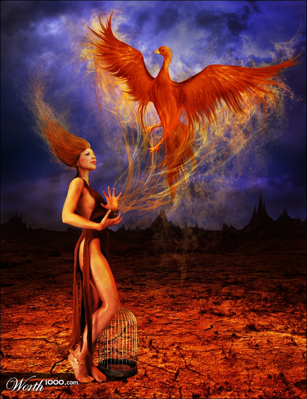Summoning the Phoenix