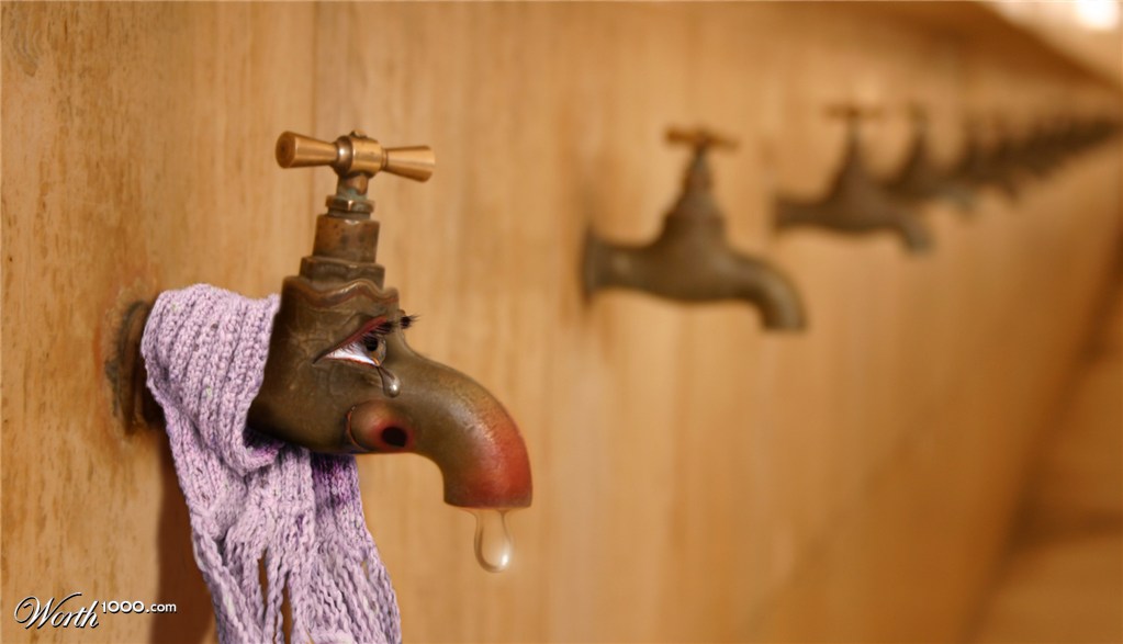 Sanitary living