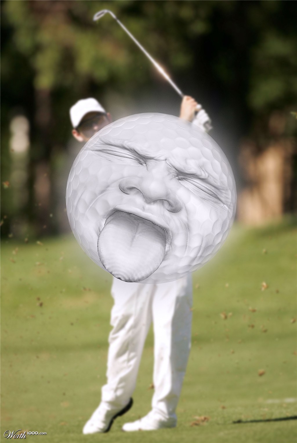 Hole in one