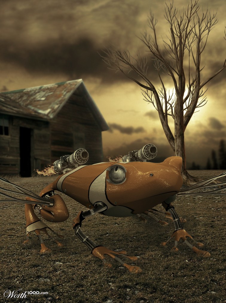 Frog of 2011