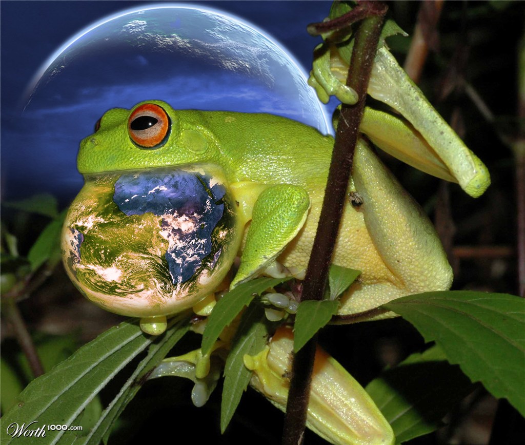 eat the earth
