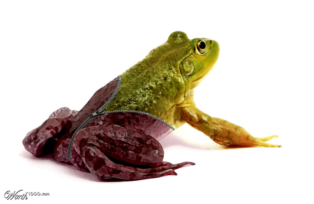 Frog Suit