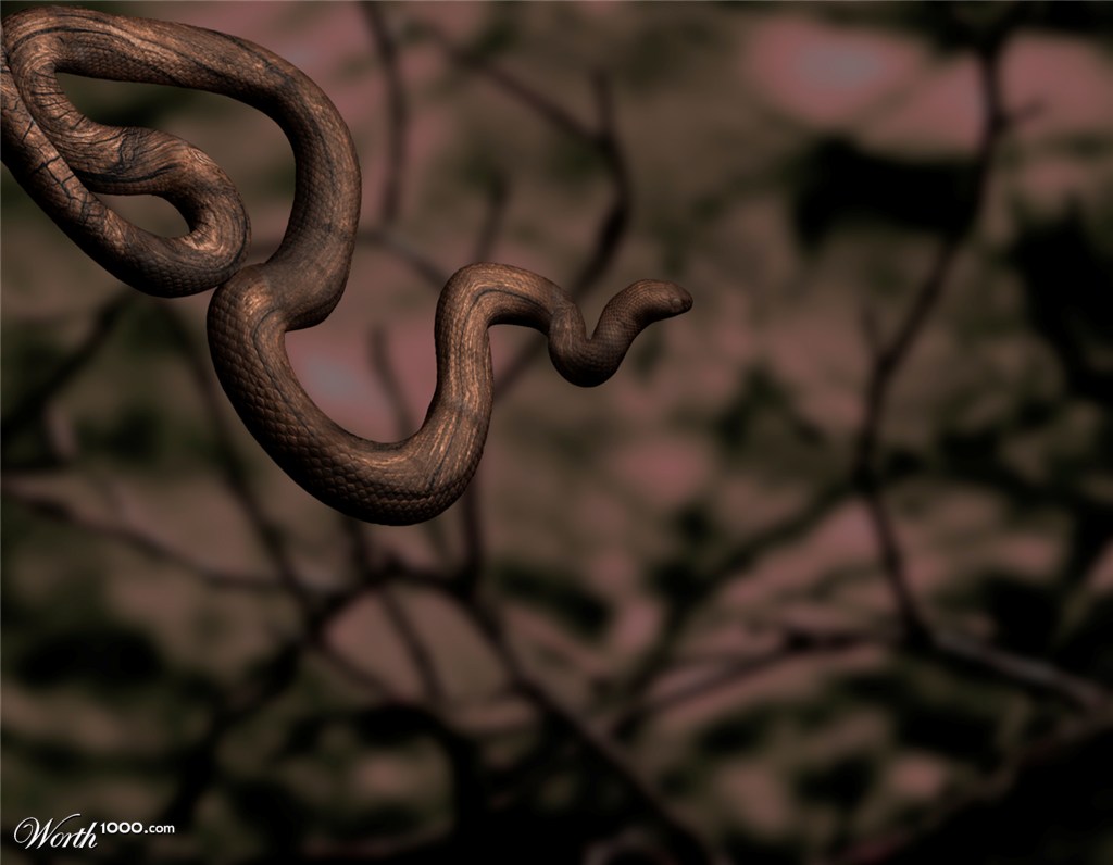 snake wood