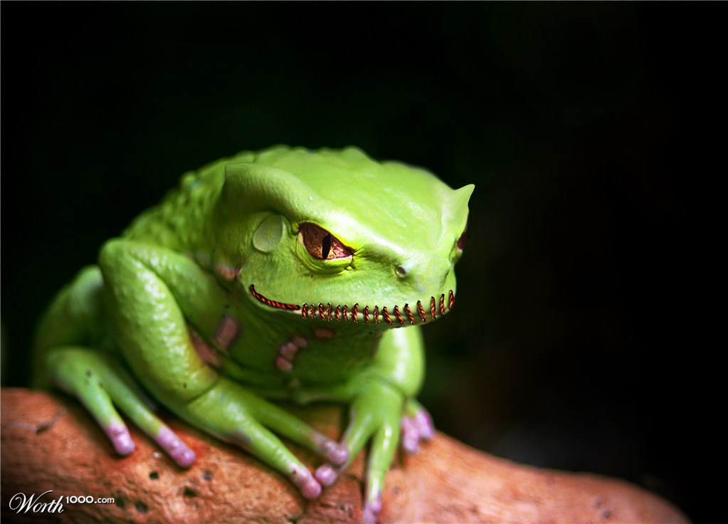 The Dark Frog Prince