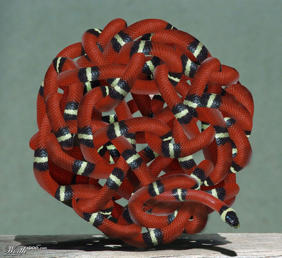 Snake Knot Ball