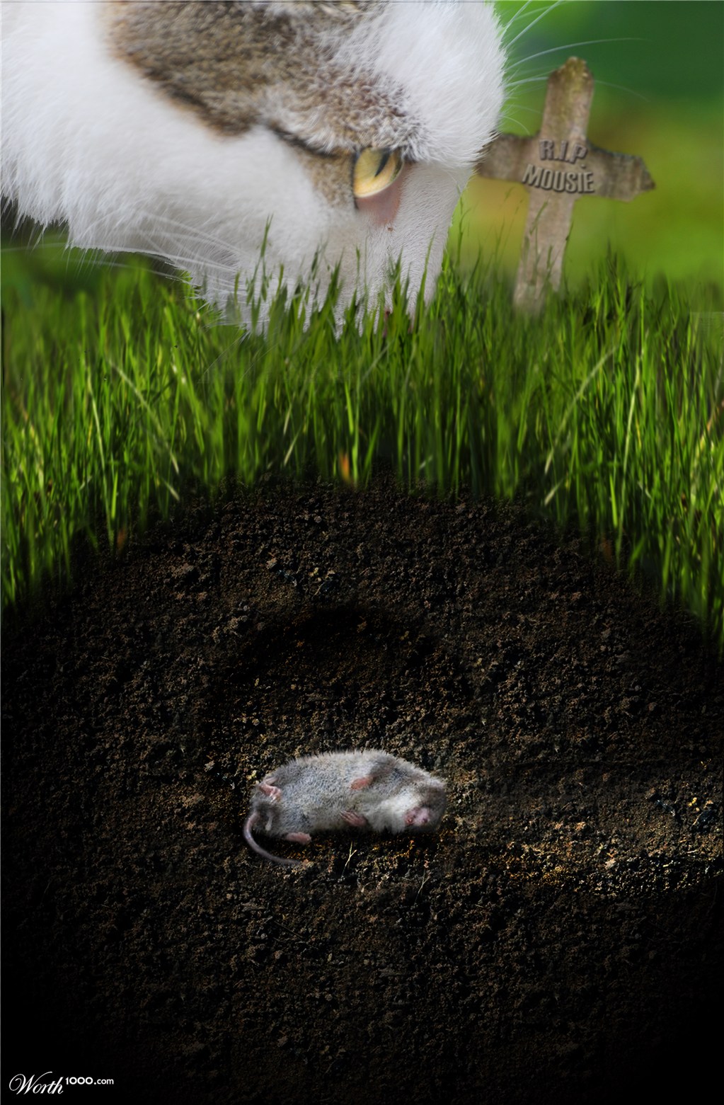 R.I.P. Mousie