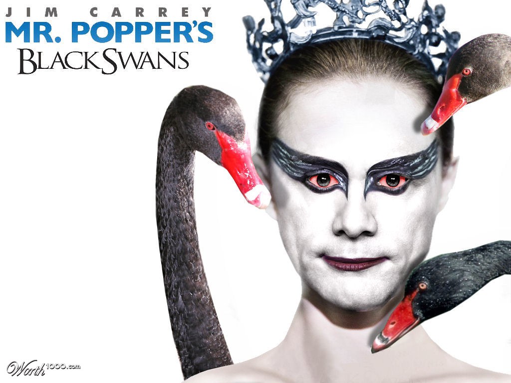 Mr. Popper`s Black Swans