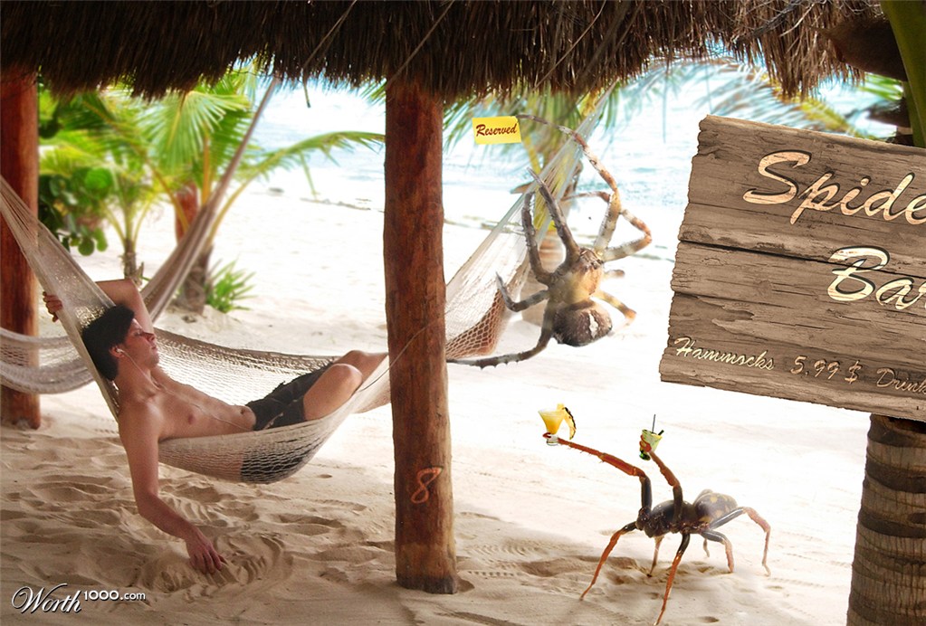 Spider's Beach Bar