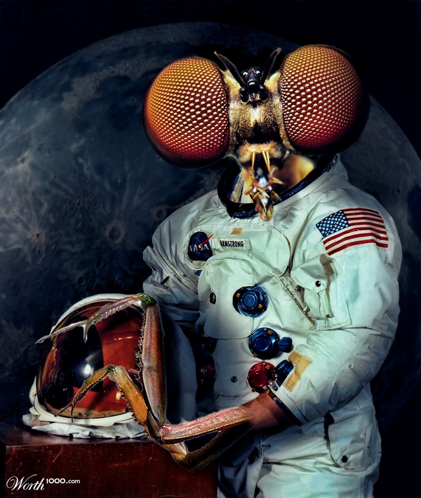 Real Armstrong