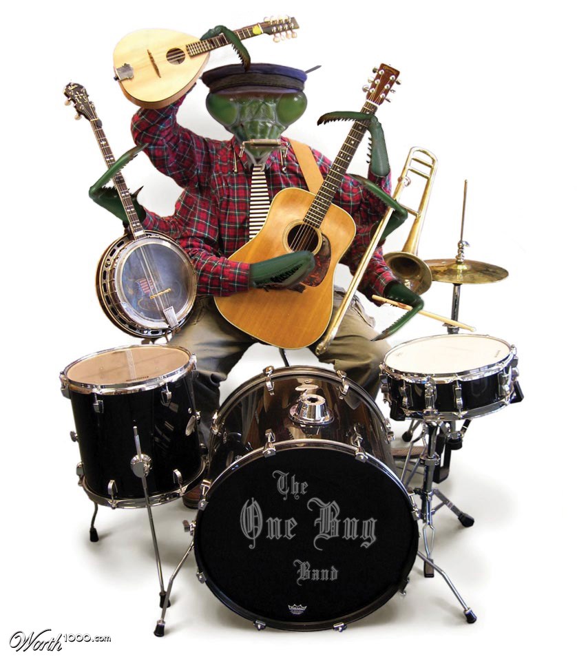 One Bug Band