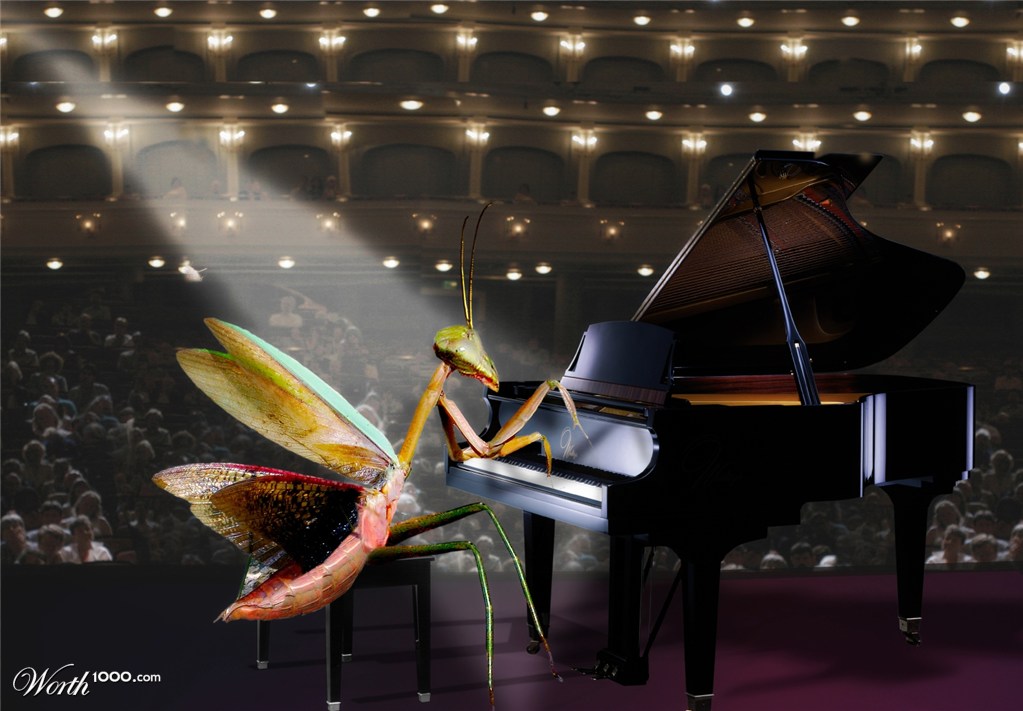 Piano Concerto