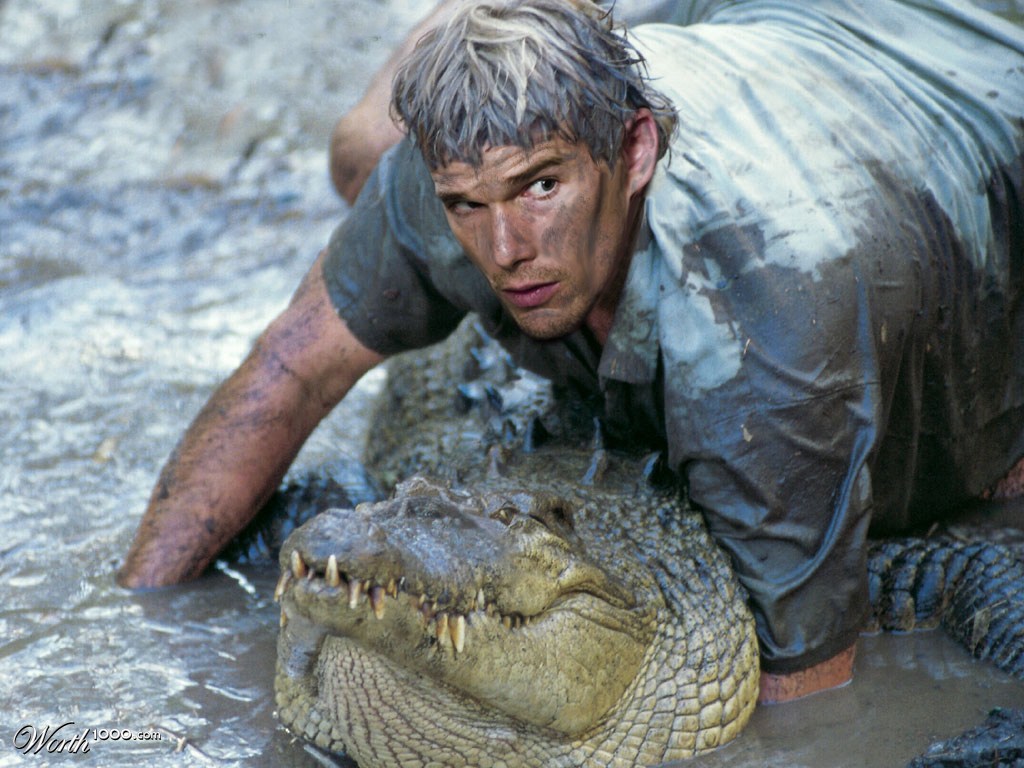 Ethan Hawke