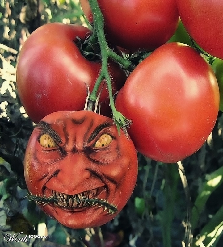 Evil Tomato