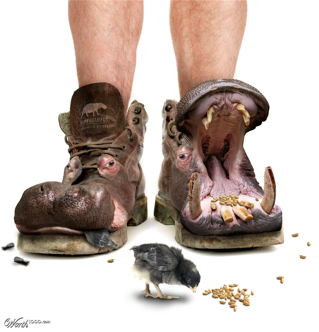 Survival boots