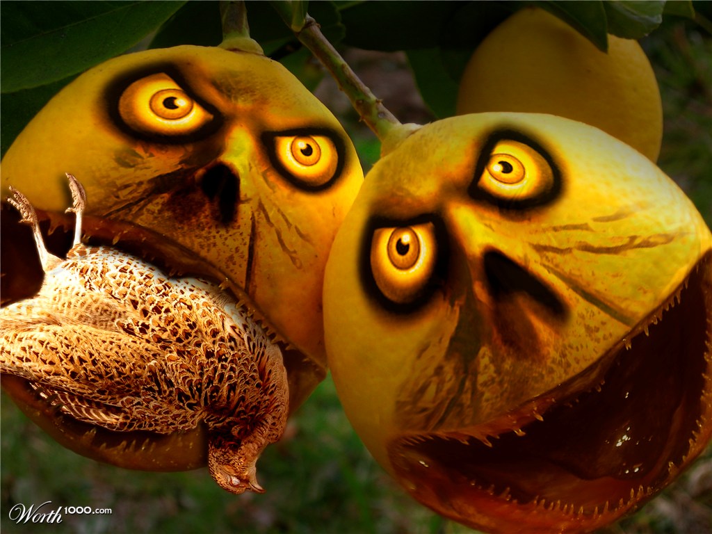 Angry Lemons!