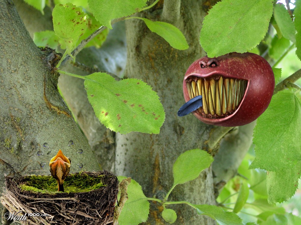 Chomped Tweet