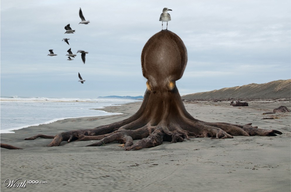 Beached