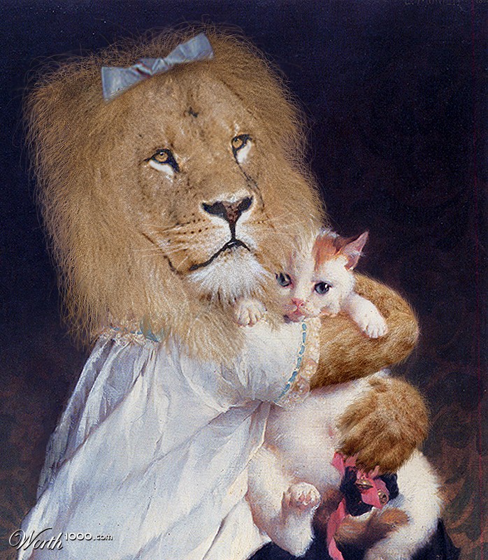 Cats