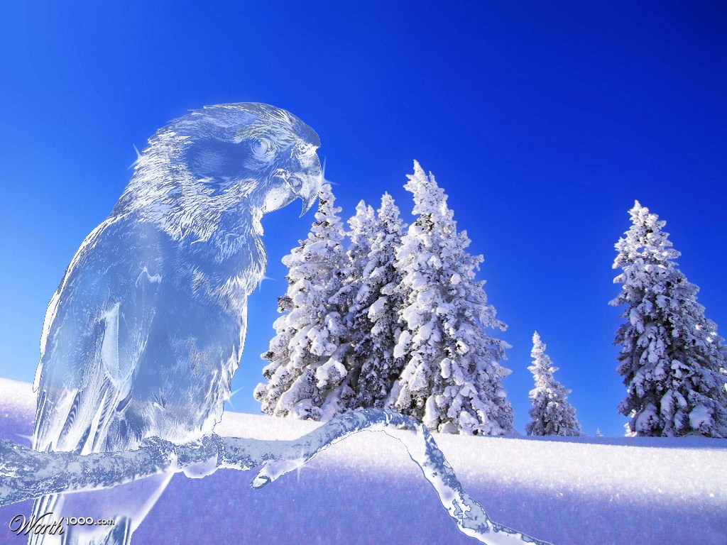 Ice Parrot