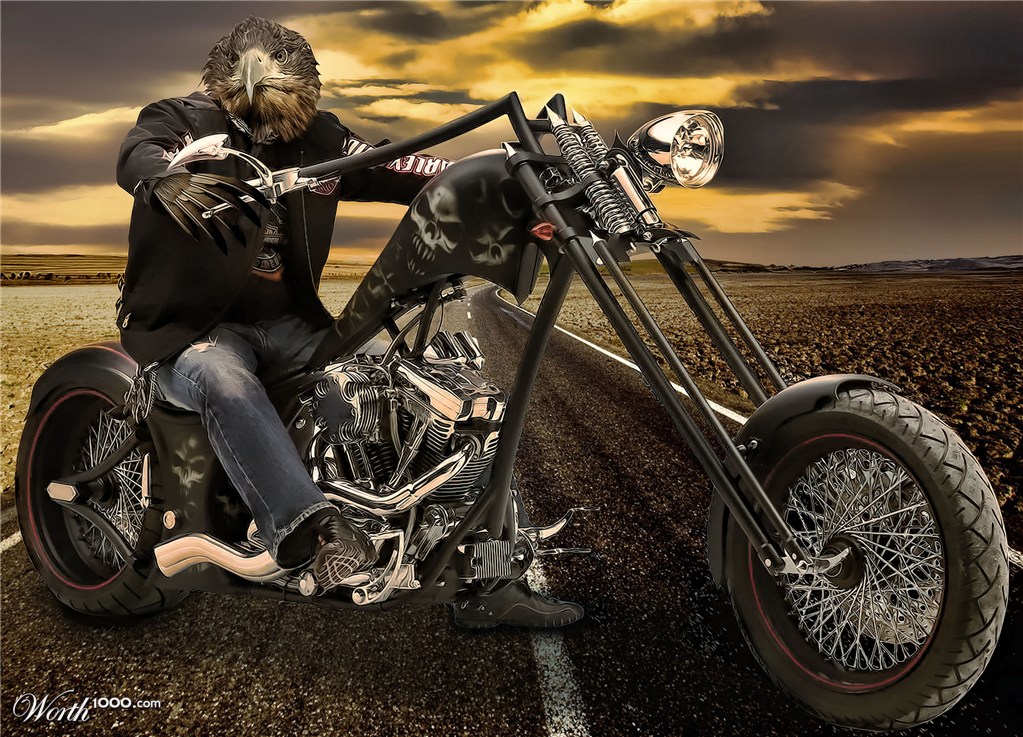 Biker Bird