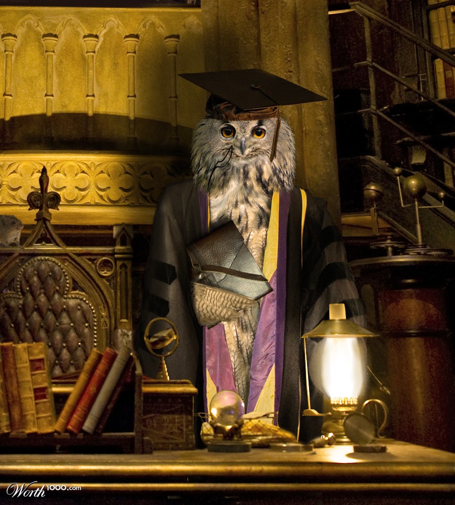 Professor Hoot