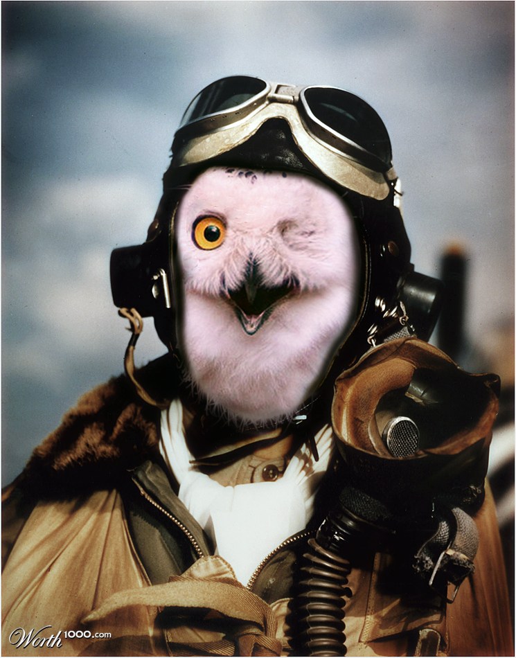 The veteran