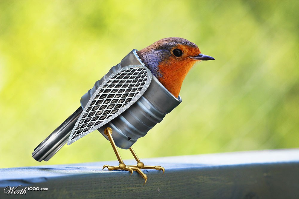 Mechanically Mended Robin