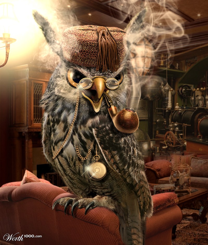 The Wise Owl