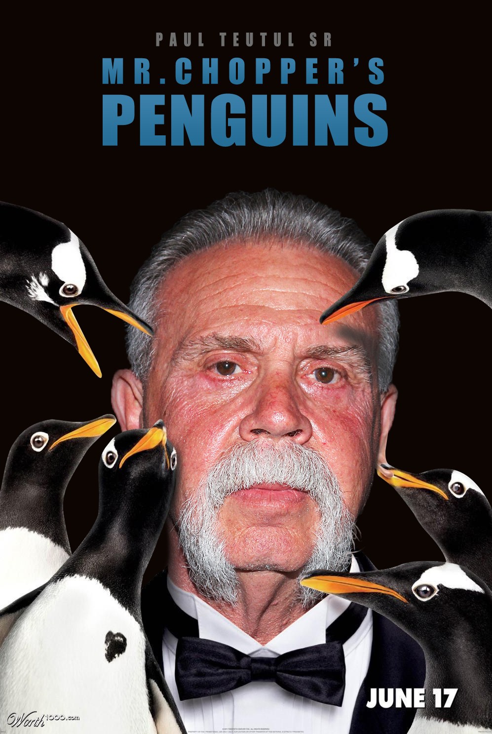 Mr Chopper's Penguins