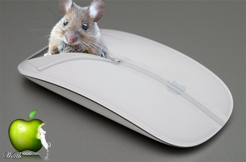 So magic mouse..!