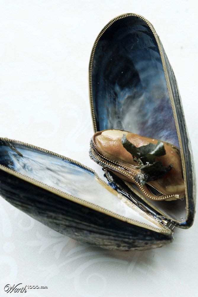 Easy Oyster Opener